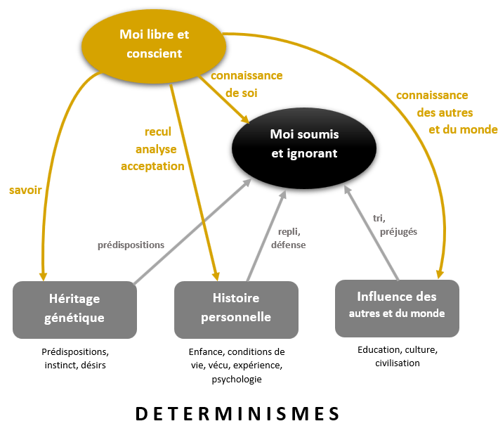 La Connaissance De Soi Rend Libre : Illustration Par Un Schéma