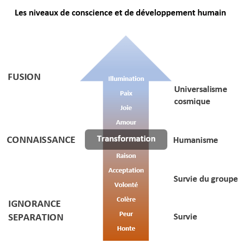 Niveau De Conscience : Définition (philosophie, Spiritualité)